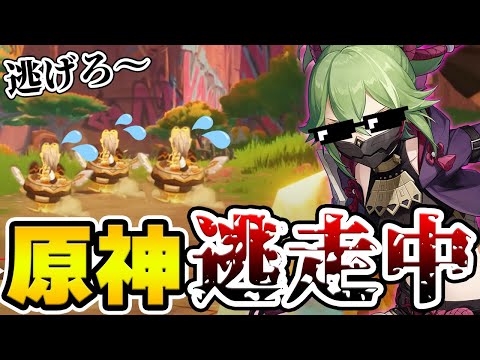 【原神逃走中】ハンター(鬼)から制限時間が終わるまで逃げきれ！【Genshin Impact】