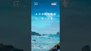 每日一句愛情語錄 浪漫愛情語錄分享 心動的愛情句子 愛的名言 EP 97 #shorts #感情語錄 #愛情語錄 #浪漫 #傷感語錄