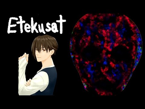 【Etekusat】１度クリアしたら、２度とプレイできない。【ホラゲ実況】