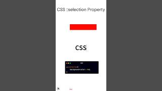 selection property #mrcodding #tutorial #shorts