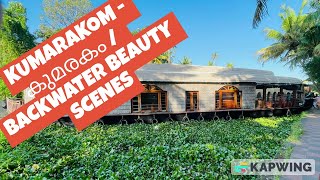 Kumarakom - കുമരകം | Backwater Beauty scenes|Travel|Waterways|PaddyFields