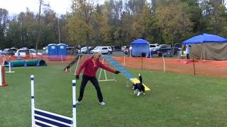 Tech Novice Standard Oct 3rd