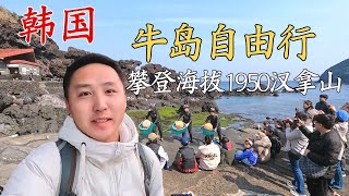 一口气玩转韩国，牛岛、济州岛、汉拿山自由行攻略！【痒痒看世界】#韩国 #济州岛 #牛岛 #济州岛攻略  #韩国 #免签  #汉拿山