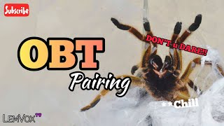 PAIRING ANGRY OBTS!! 😅🙏 #20