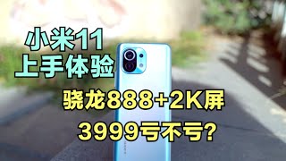 【数码誌】小米11上手体验：2k屏+骁龙888的组合，3999亏不亏？