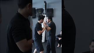 Wing Chun Details with Sifu Francis Fong