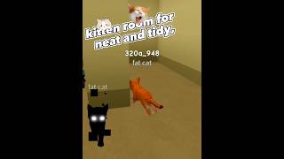 kitten room neat and tidy