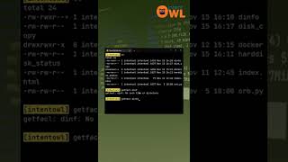 Find who owns the file