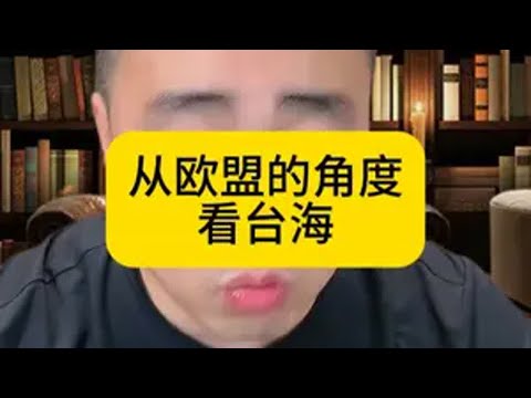 从欧盟的角度看台海局势 台海局势 贸易战 国际局势