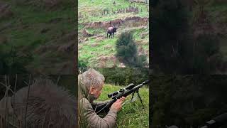 Yes he did! #wapiti#elk#hunting#travel#explore#hunt