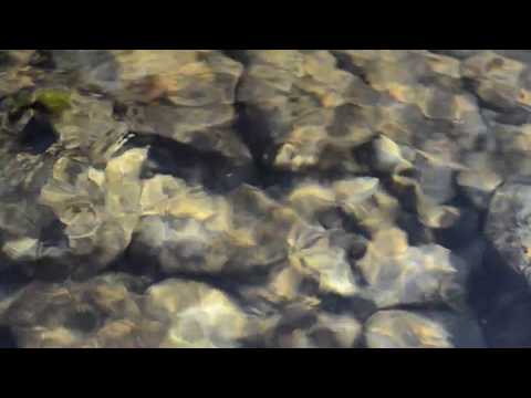 Crystal waters