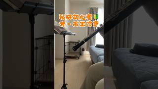 【オーボエ】初心者オーボエ吹きの疑問　#オーボエ #練習 #初心者