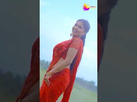 Jhamajham Barse Sawan #cgsong #cgreels #cgshorts #cgstatusvideo #barishsong #sawan #jhamajham