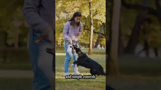 GPS Wireless Dog Fence System, Electric Smart Automatic Barking Stop Device, OLED Screen