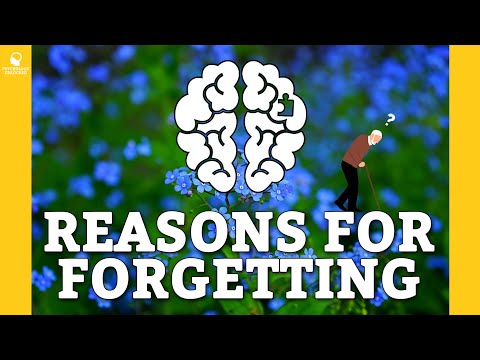 COGNITIVE REASONS FOR WHY WE FORGET: Interference and Retrieval Failures