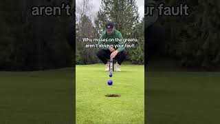 Greens are imperfect surfaces 😲 (via @michaelcaangolf/ TT)