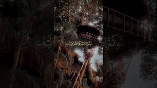 Quran qareem#duet #quranrecitation#islamic #quran #iclamic