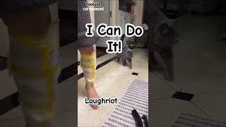 I can do it! #laughriot #funny #foryou
