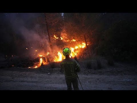 At least 12 in hospital as wildfire forces closure of Tel Aviv to Jerusalem highway