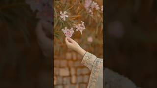 whatsapp dp, photo, wallpapers, images, status video || #shorts #ytshorts #cutephoto