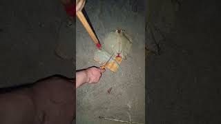 pagi fish pinutulan buntot # catch from naval base jeddah