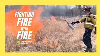 Why Crews Start Fires To Help Fight Fires in Canada’s Forests