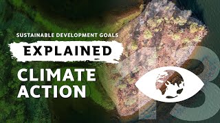 SDGs Explained: #13 Climate Action