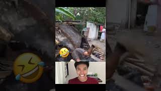 Waragalo vibes! 😂 Chilling on top-then WHACK! straight to trash! 🤣 #Waragalo #reactionremix #ctto