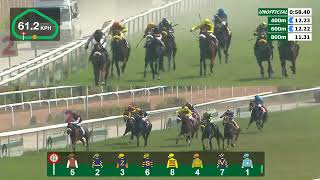 HRC Races 19 January 2025 Race 1