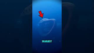 Top 5 Deadliest Sea Creatures Living in the Deep Sea😱 #shorts #facts #scary
