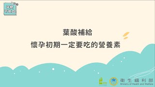 葉酸補給-懷孕初期一定要吃的營養素