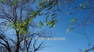 第一节课：为什么要学习死亡知识