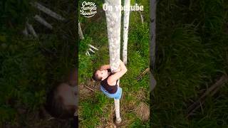 Climbing a 100 foot Palm tree.#junglelife