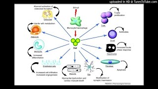 Tumor necrosis factor alpha contributes to cancer pain and associated inflammation