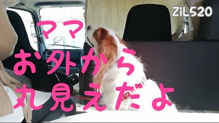 【キャンピングカー】外から丸見えなのでカーテン取り付けました