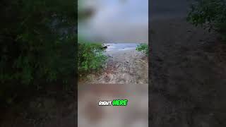 Epic Jump Fail! Watch THIS Hilarious Moment