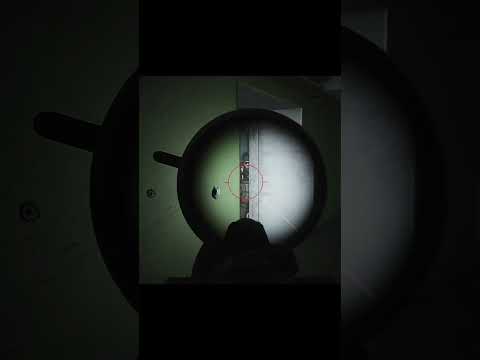 SO MANY DEAD #tarkov #escapefromtarkov #shorts