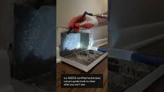 Dust, dander & debris | Mr. Duct Cleaning Chicagoland