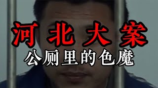 河北大案：公廁里的色魔 #案件 #探案 #懸案 #懸疑 #案件解說