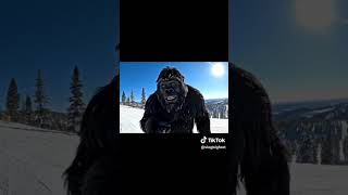 Craziest Bigfoot vlogs  #Bigfoot #shorts  #BigfootVlogs #FunnyTok, #AITok
