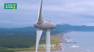 【COCOENE】電気の産地・発電所紹介動画～県営酒田風力発電所～