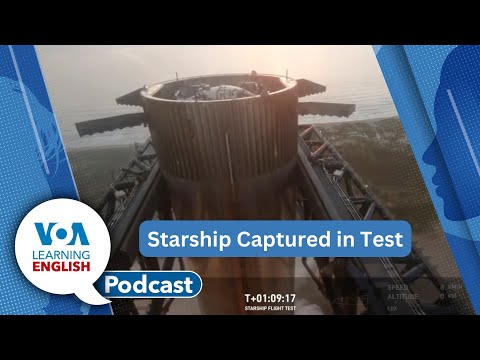 Largest bug, Ancient reptile in Brazil, Starship test, Who’s and whose