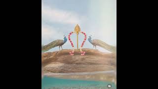 #murugan #murugansongs #muruganvibes #shortsfeed  #lordmurugan #plslikesubscribe #tamilgod #cute