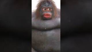 Don’t Laugh #Filter (Part 2)