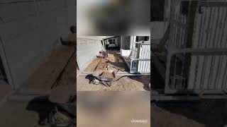 Beewise Website Video 4