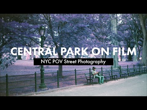 Film Photography in Central Park NYC | POV Street Photography  | Canon AE-1 + Lomochrome Purple