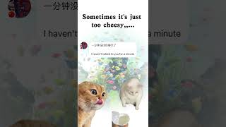 Daily Talks: Learning language with my Chinese Friends #chinese #languagelearning #learningchinese