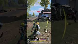 C4 Surprise