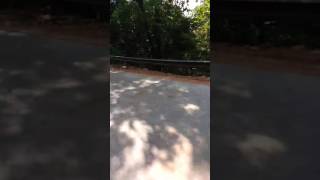 Shiradi ghat