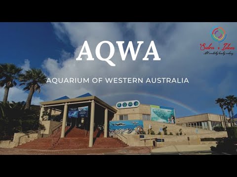 AQWA aquarium perth; Western Australia | biggest Aquarium of Western Australia | part 1